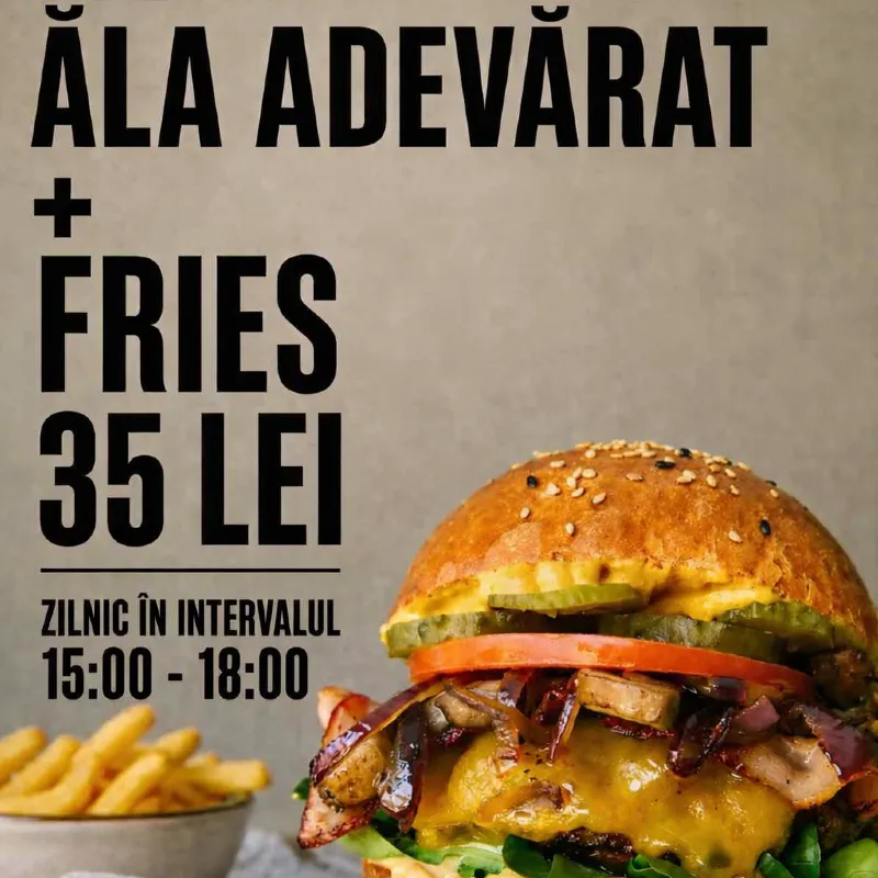 Meniu Burger + Fries